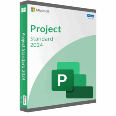Microsoft Project 2024 Standard