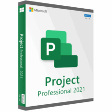 Microsoft Project 2021 Professional