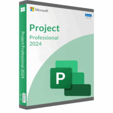 Microsoft Project 2024 Professional