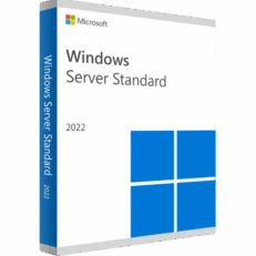 Windows Server 2022 Standard Key