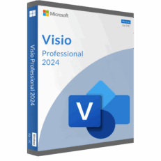 Microsoft Visio 2024 Professional
