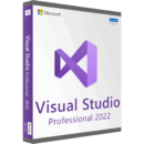 Microsoft Visual Studio 2022 Professional
