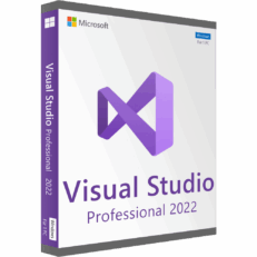 Microsoft Visual Studio 2022 Professional