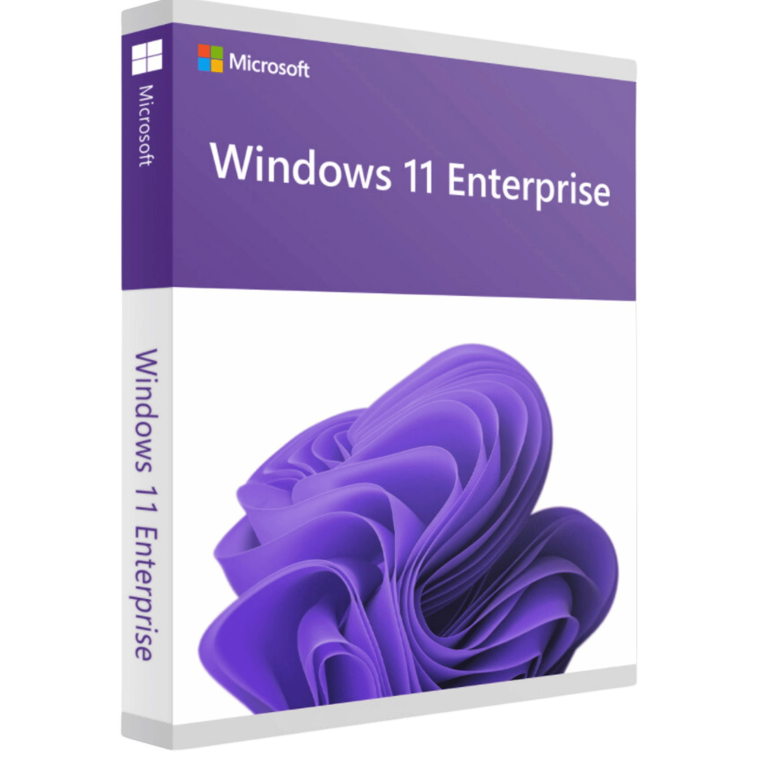 Microsoft Windows 11 Enterprise Key